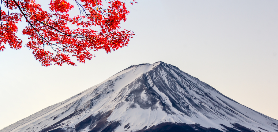 japan - contact page